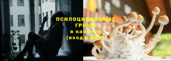 трава Верхнеуральск