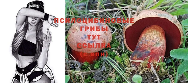 трава Верхнеуральск