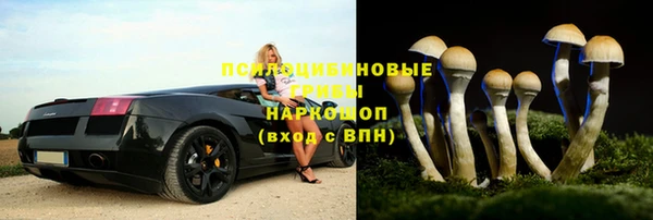 Альфа ПВП Верхний Тагил